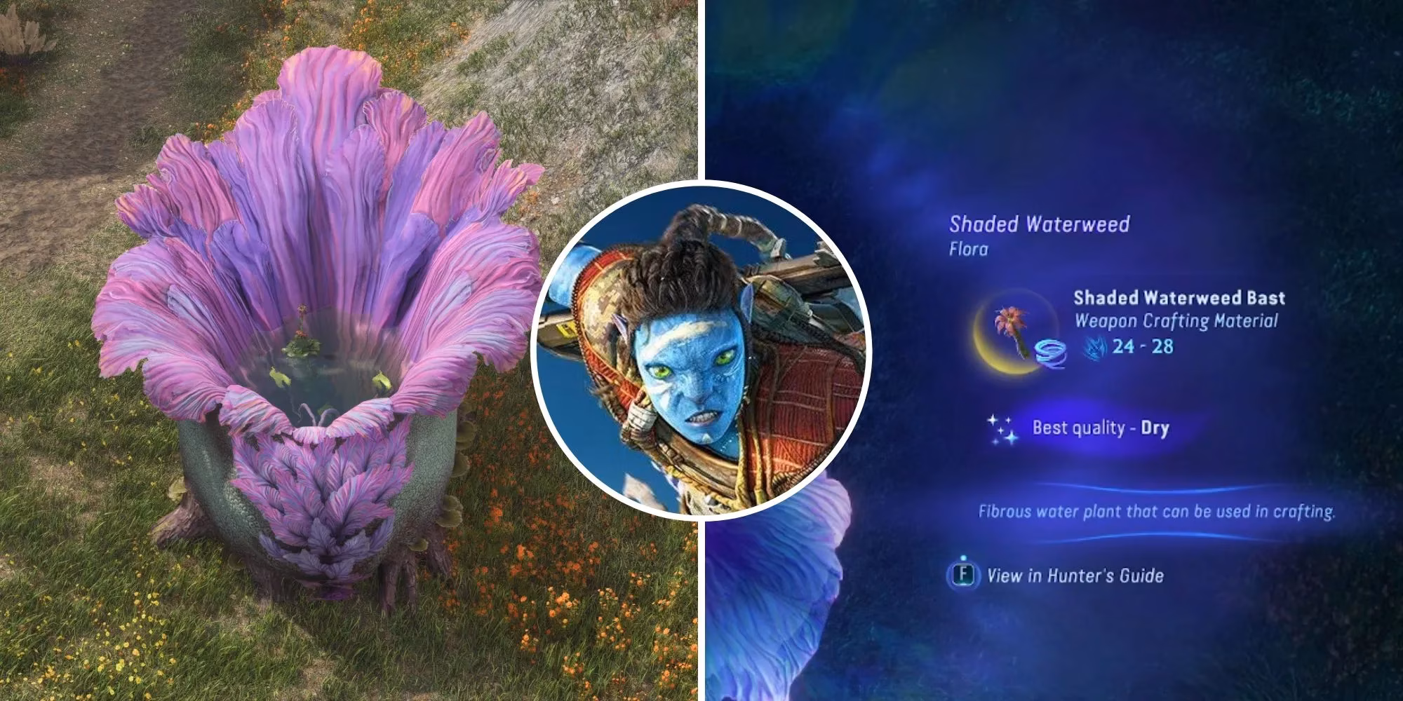 how-i-found-tranquility-bulbs-and-harvested-exquisite-shaded-waterweed-in-avatar-frontiers-of-pandora-image-0