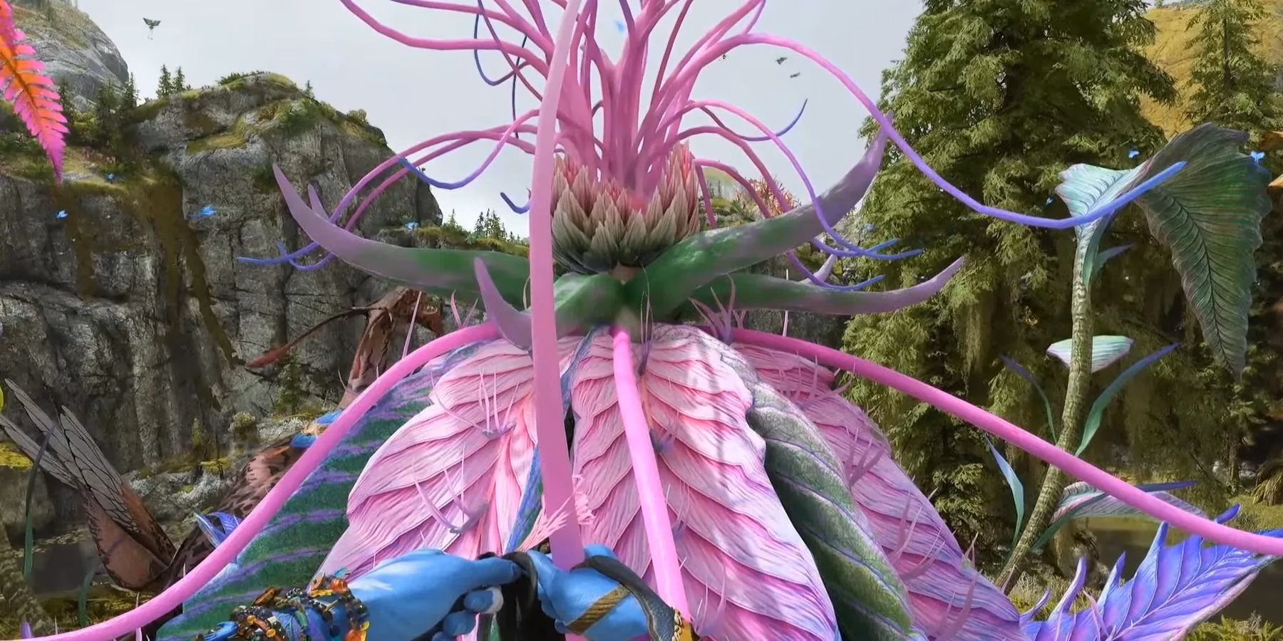 my-journey-to-the-twelve-ancestor-skills-of-pandora-image-0