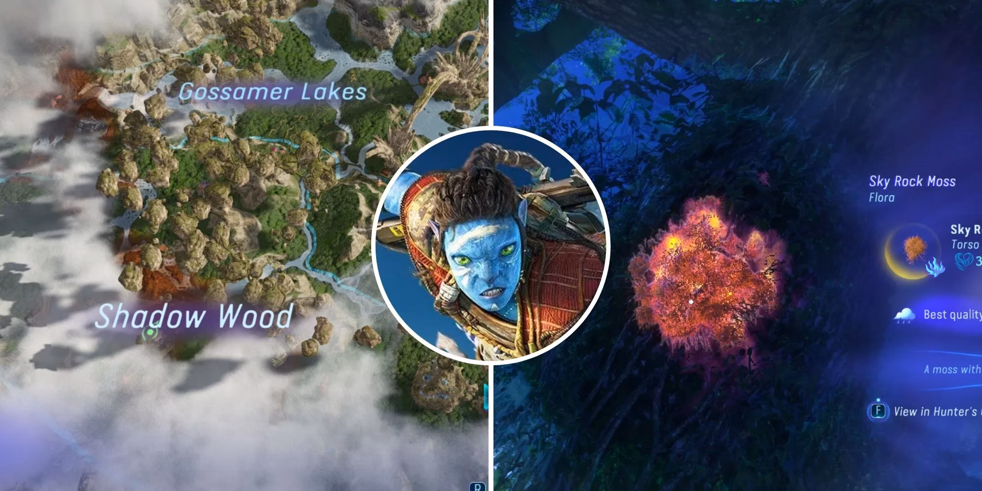 where-to-find-moss-in-avatar-frontiers-of-pandora-image-0